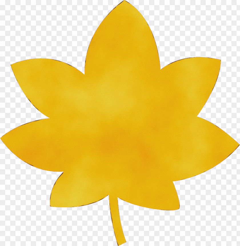 Wheel Automotive System Yellow Leaf Plant Petal Flower PNG