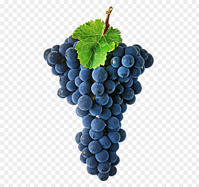 Wine Grape Sultana Cabernet Sauvignon Blanc Franc Red PNG