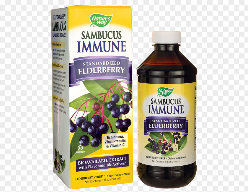 Dietary Supplement Elder Extract Immunity Liquid PNG