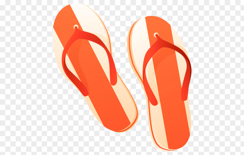 Pin Slipper Flip-flops Text Word PNG