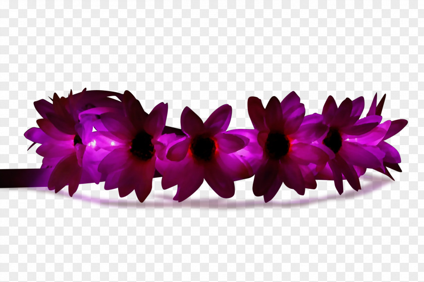 Plant Costume Accessory Feather PNG