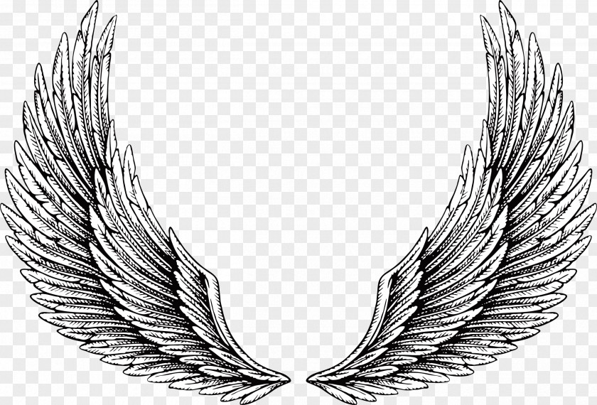 Wing Tattoo Illustration PNG