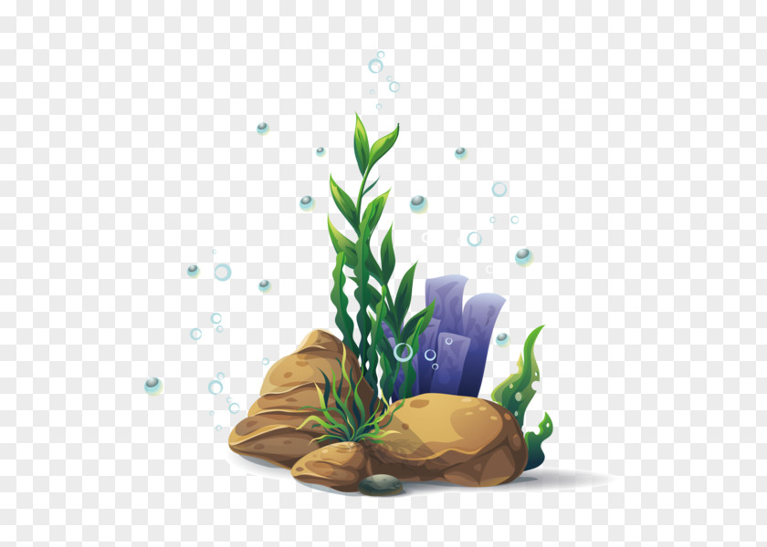 Aquarium Decor Herb Seaweed Cartoon PNG