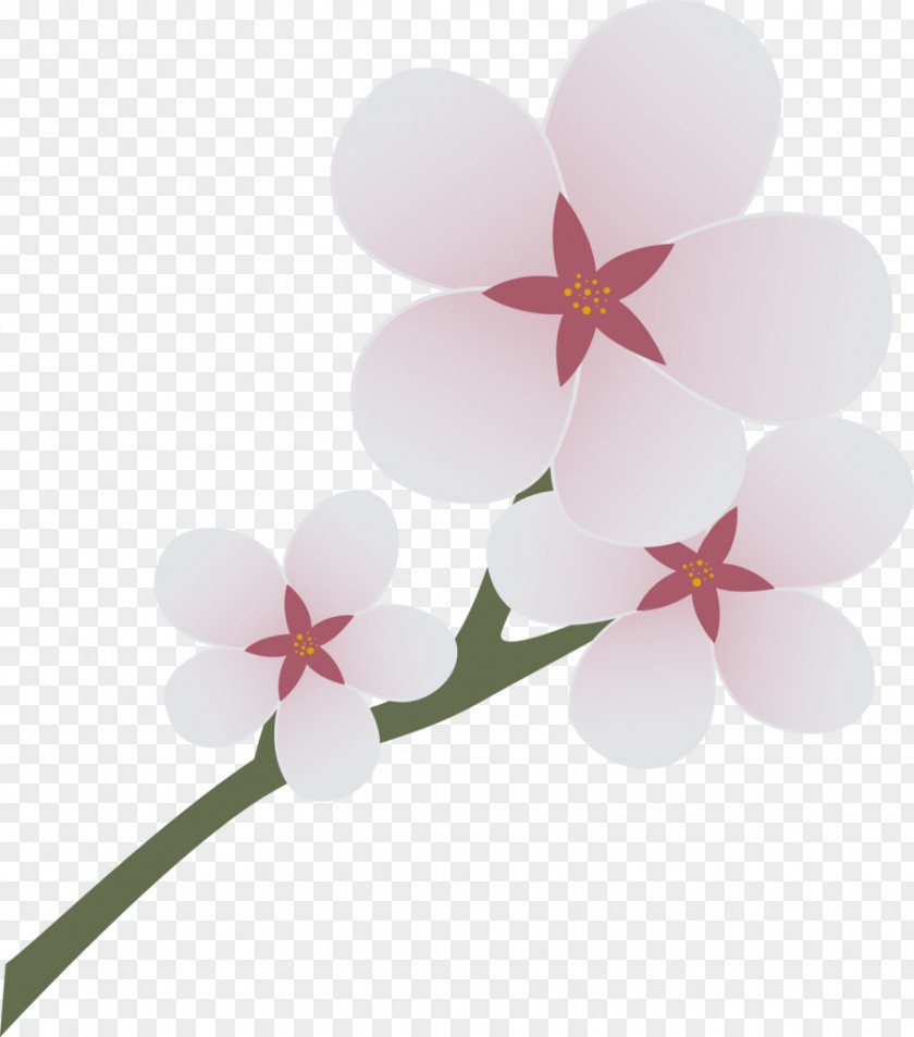 Cherry Blossom Cartoon Personal, Social And Health Education Finance School Service PNG