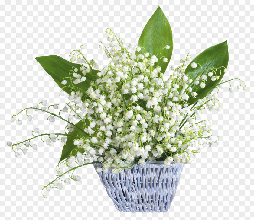Flower Basket Lily Of The Valley Bouquet Cut Flowers Lilium PNG