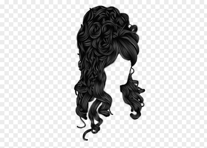 Hairpin Wig Long Hair Hairstyle Afro-textured PNG