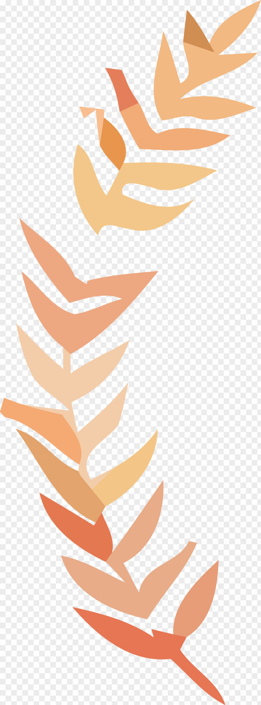 Leaf Meter Line Beak Tree PNG