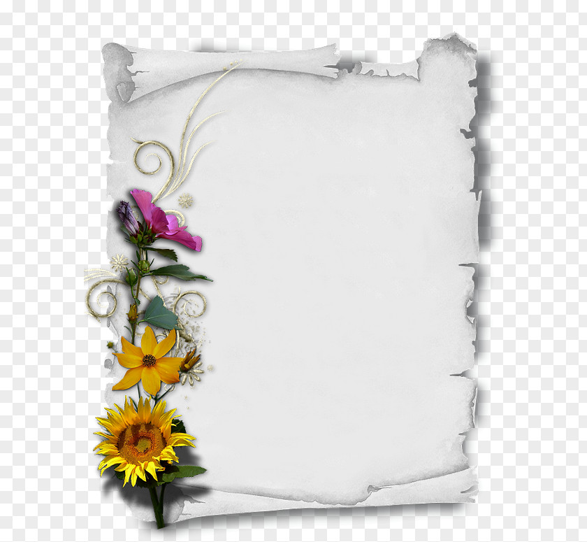 Professional Stationary Paper Floral Design Parchment Image Graphics PNG
