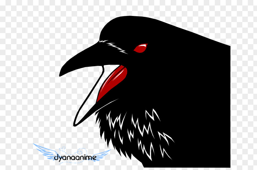 Raven Vector Fauna Close-up Beak Font PNG