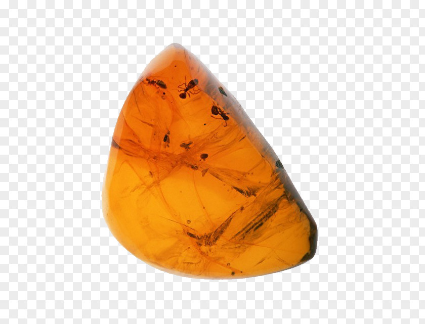 Yellow Stones Amber Tomakomai Komazawa University Fossil Rock Rosin PNG