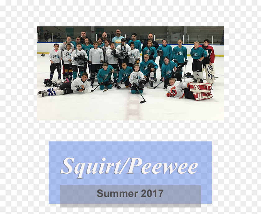 Squirt Ice Hockey Junior League Bandy Team PNG
