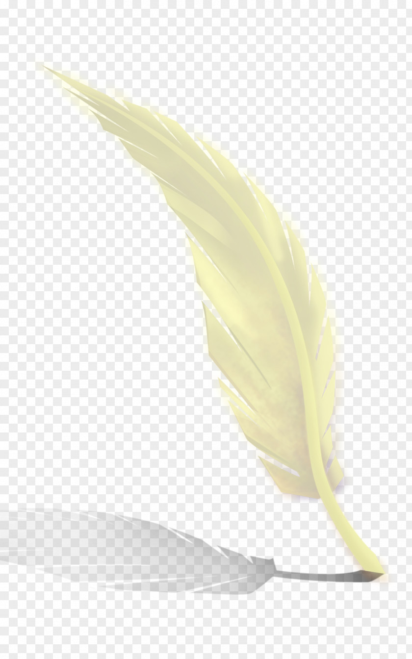 White Feathers Yellow Feather Material PNG