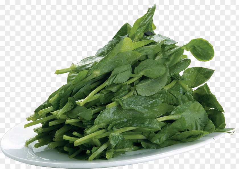 A Kale Chinese Cuisine Broccoli Vegetable PNG