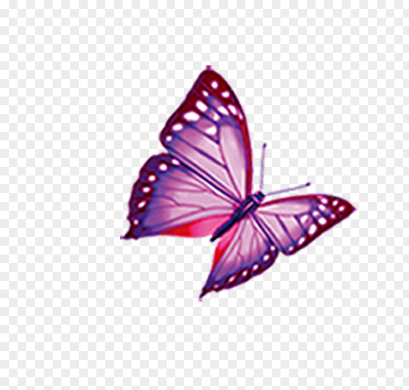Butterfly Mimpi Computer Keyboard Diamant Koninkrijk BlueBlock PNG