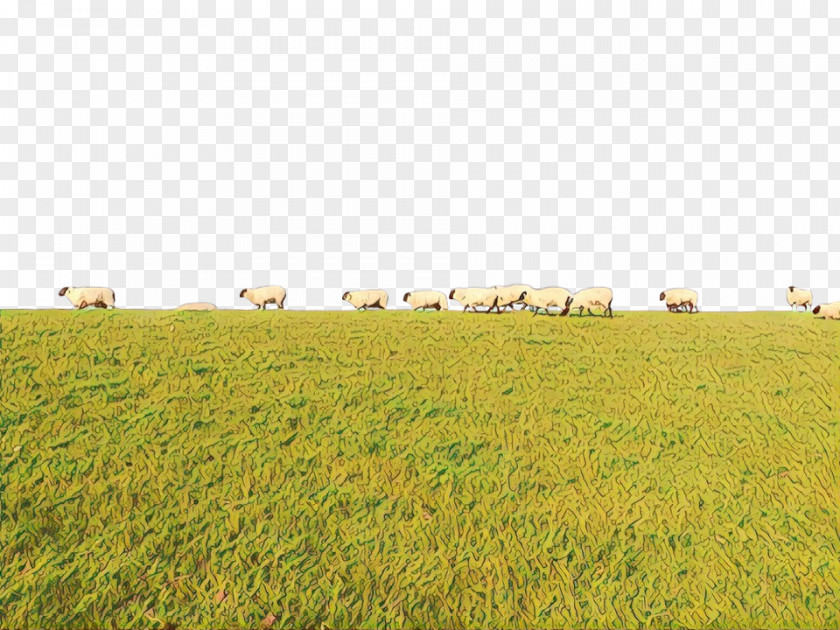 Cattle Grassland Steppe Ecoregion Sky PNG