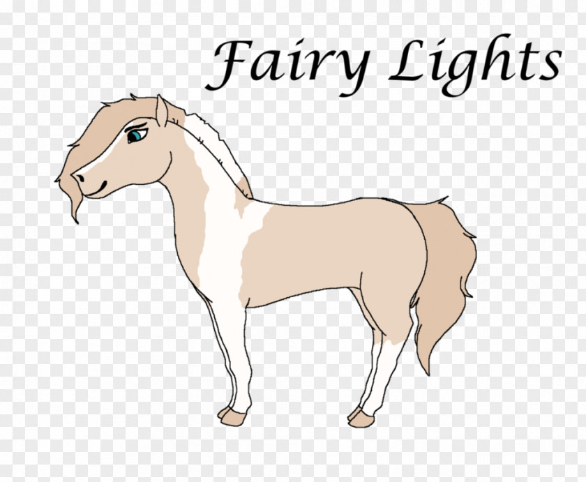 Fairy Light Mustang Foal Pony Stallion Colt PNG