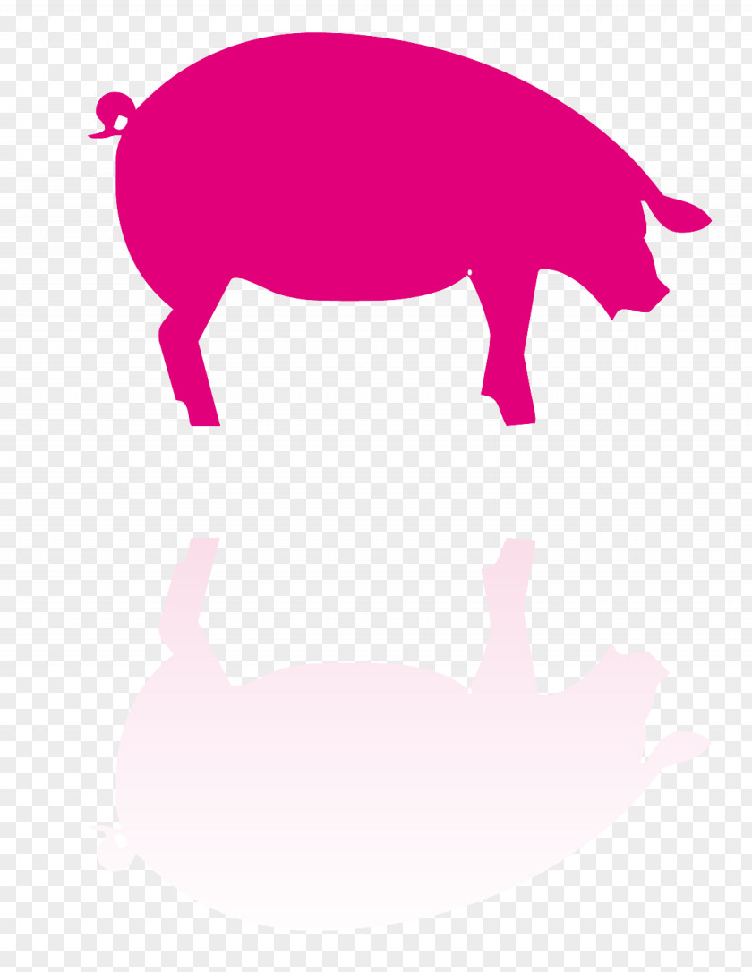 Pig Domestic Farm Cattle Goat PNG