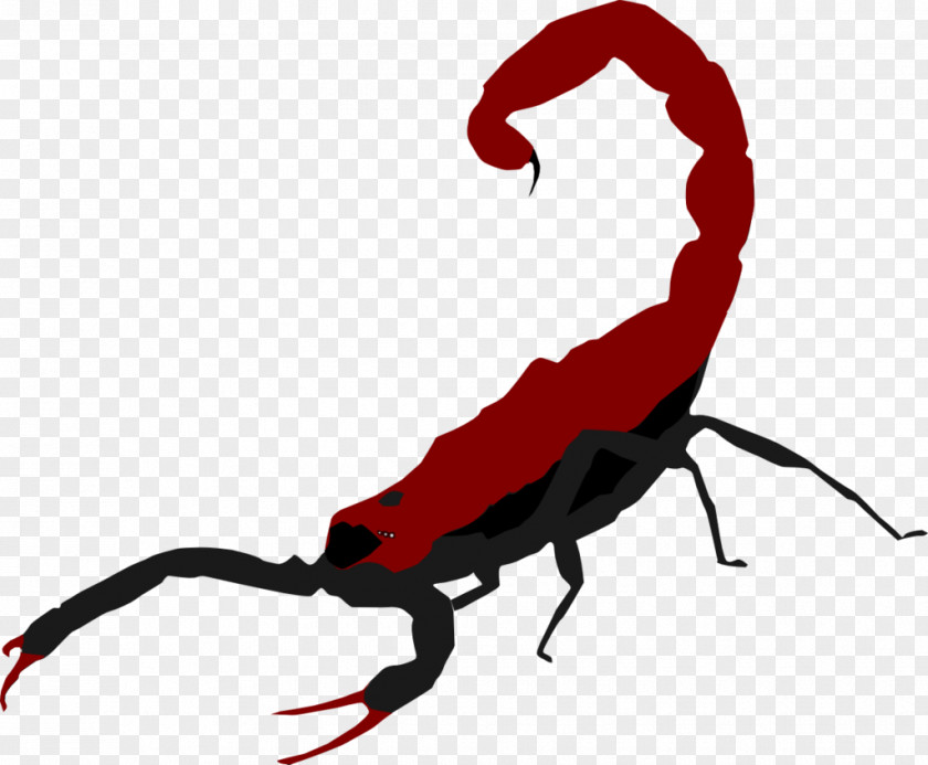 Scorpion Vector The Royalty-free PNG