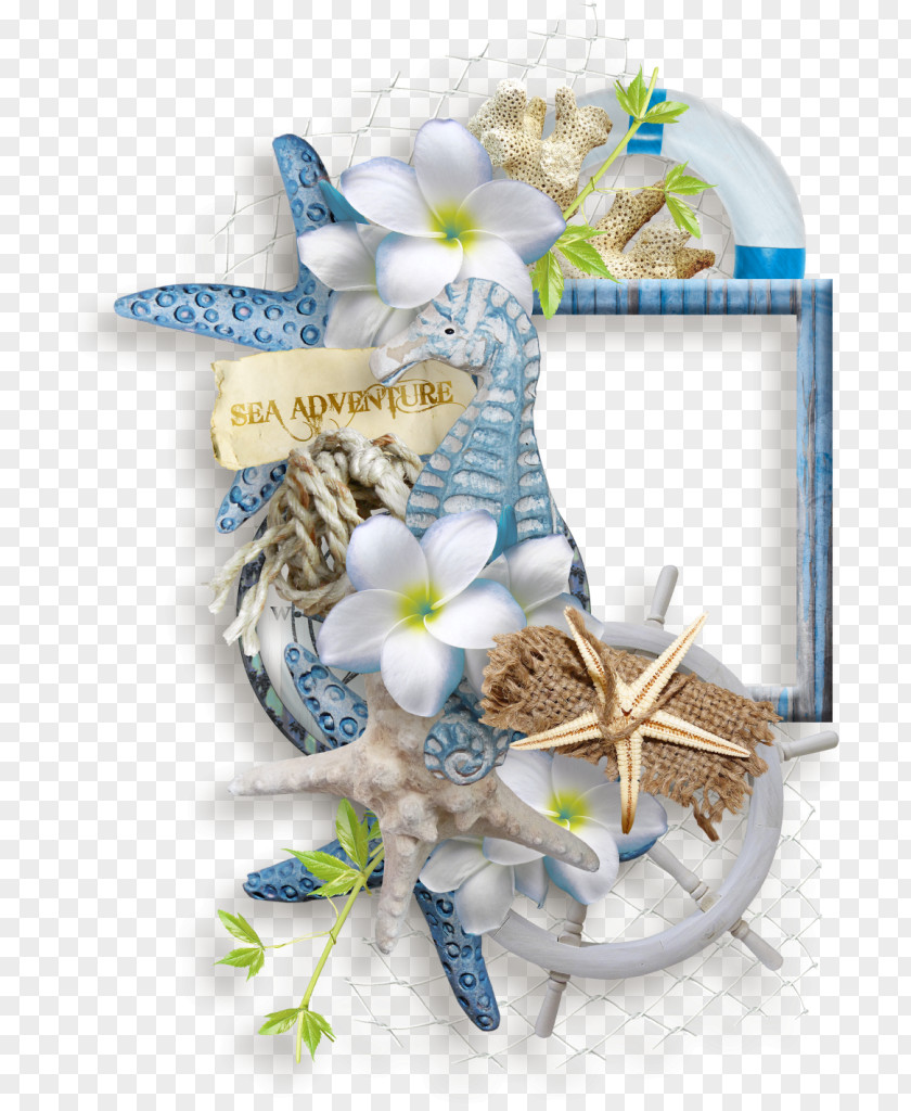 Sea Borders And Frames Picture PNG