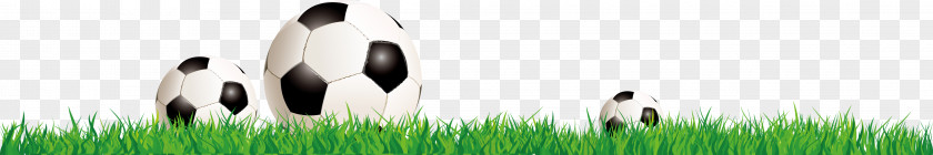 Soccer Player Background,Football Background Image Brand Logo Grasses PNG