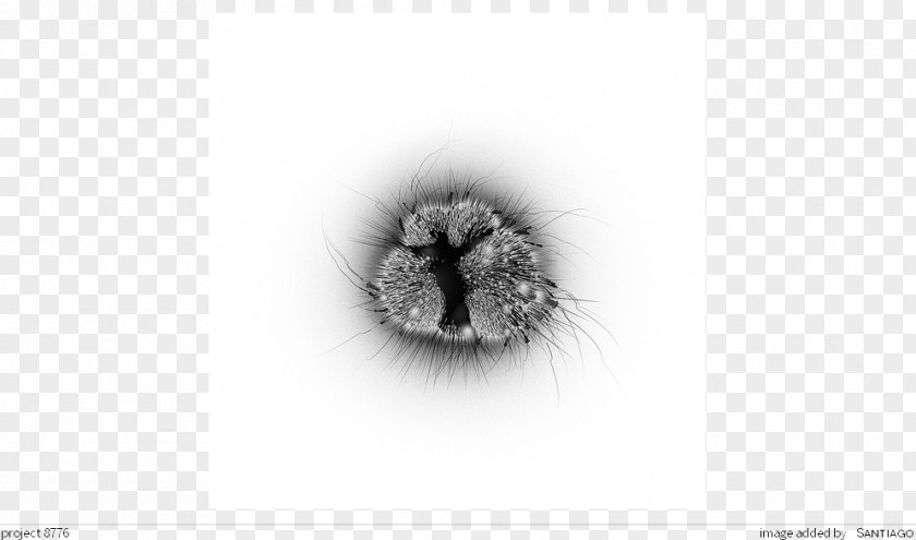 Inkstone Clipart Desktop Wallpaper Fur PNG