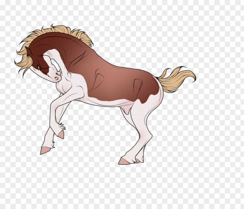 Mustang Pony Cat Pack Animal Mammal PNG