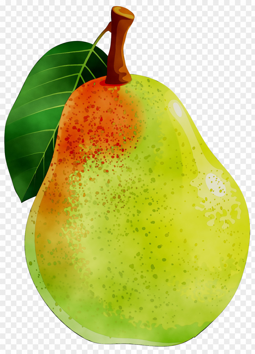 Pear Superfood Accessory Fruit PNG