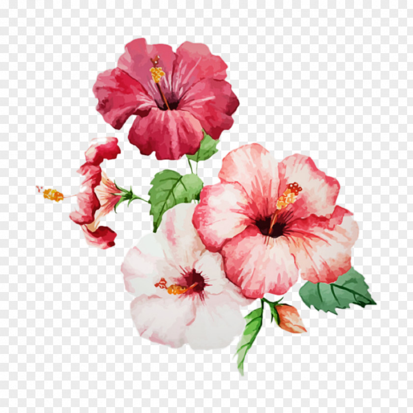 Petunia Watercolor Paint Flower Flowering Plant Petal Pink Hawaiian Hibiscus PNG