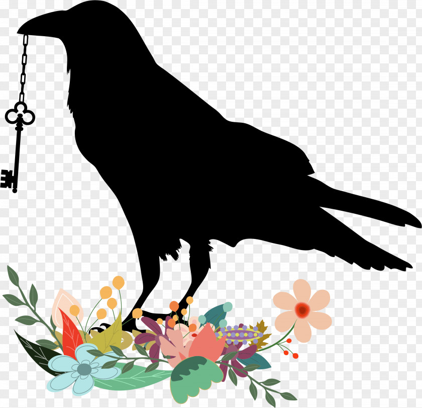 Raven Common Bird House Crow PNG