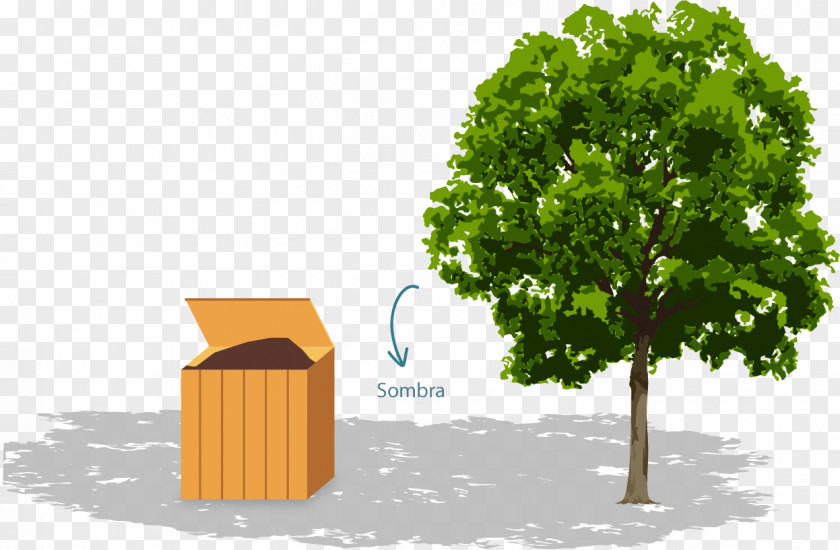 Tree Rootstock Fruit Arborist Clip Art PNG