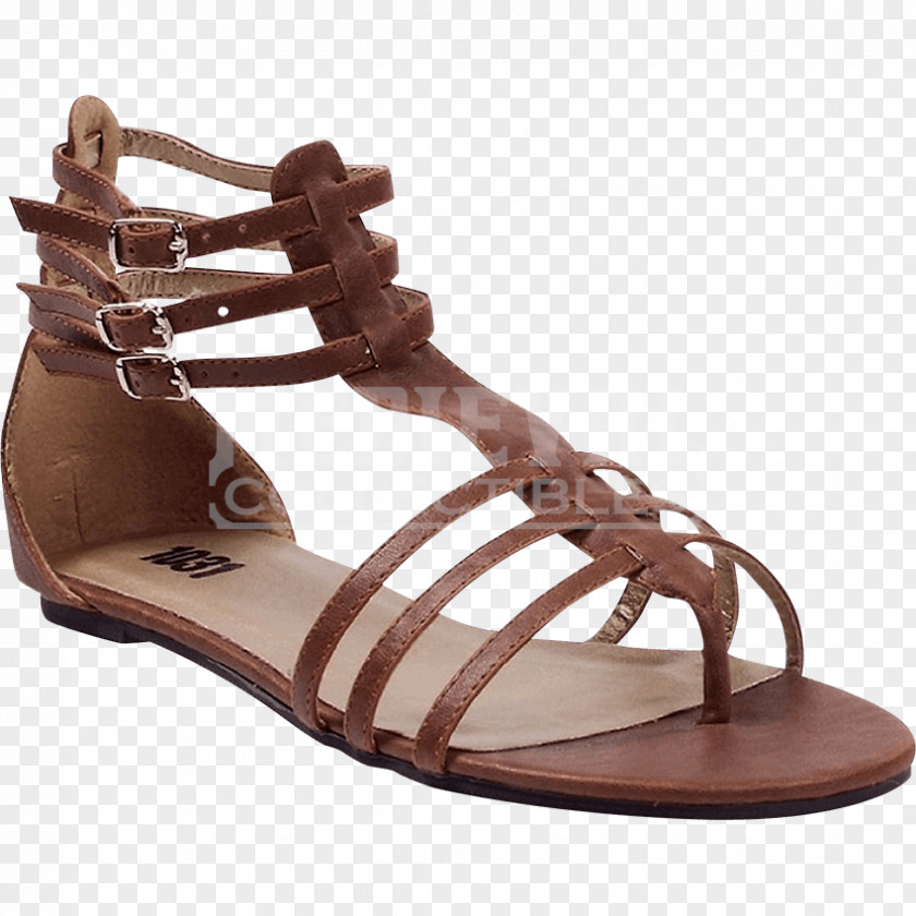 Women's Clipart Slipper Sandal Flip-flops Shoe Size Buckle PNG