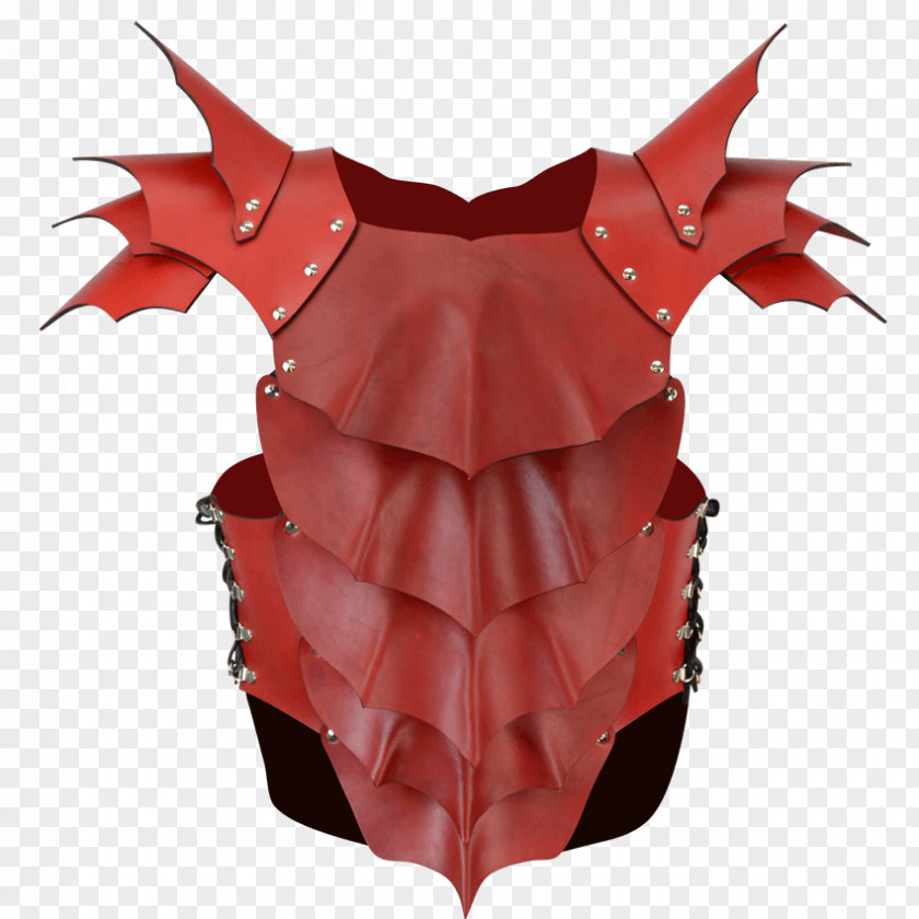 Armour Fantasy Dragonslayer Robe PNG