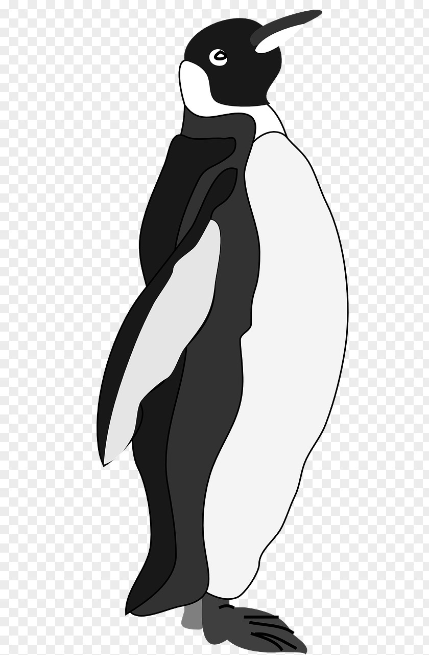 Arrogant Penguins Emperor Penguin Free Content Clip Art PNG