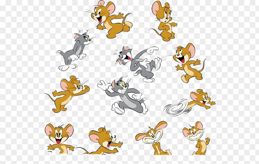 Crazy Cat And Mouse Jerry Tom PNG