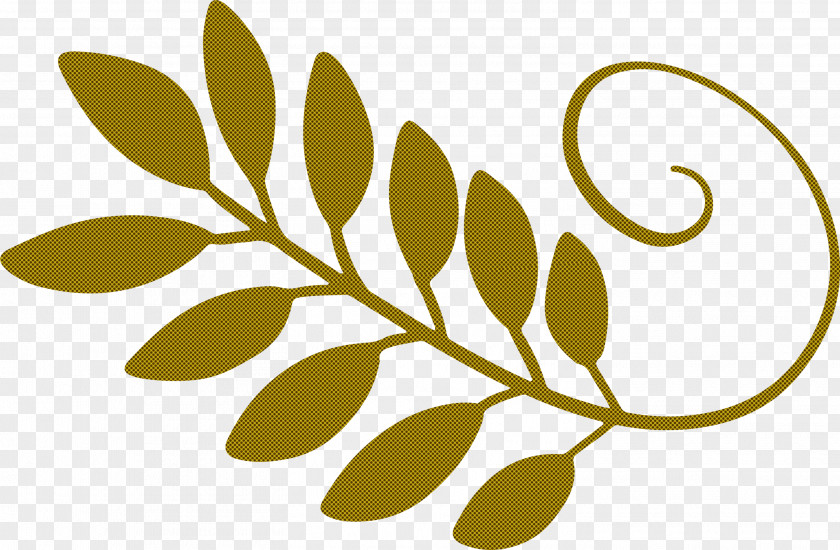 Floral Design PNG