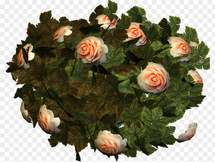 Flower Garden Roses Cut Flowers Bouquet PNG