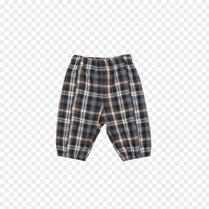 Hose Bermuda Shorts Tartan Trunks Briefs Pants PNG