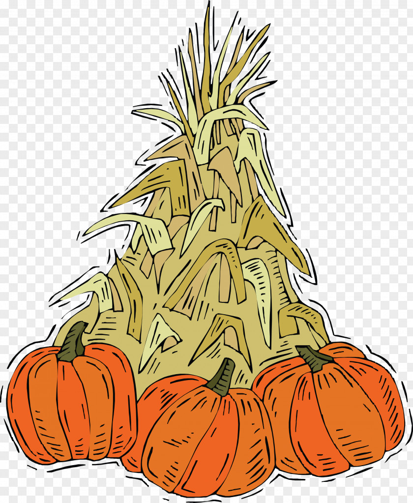 Pumpkin Calabaza Cucurbita Vegetable Clip Art PNG