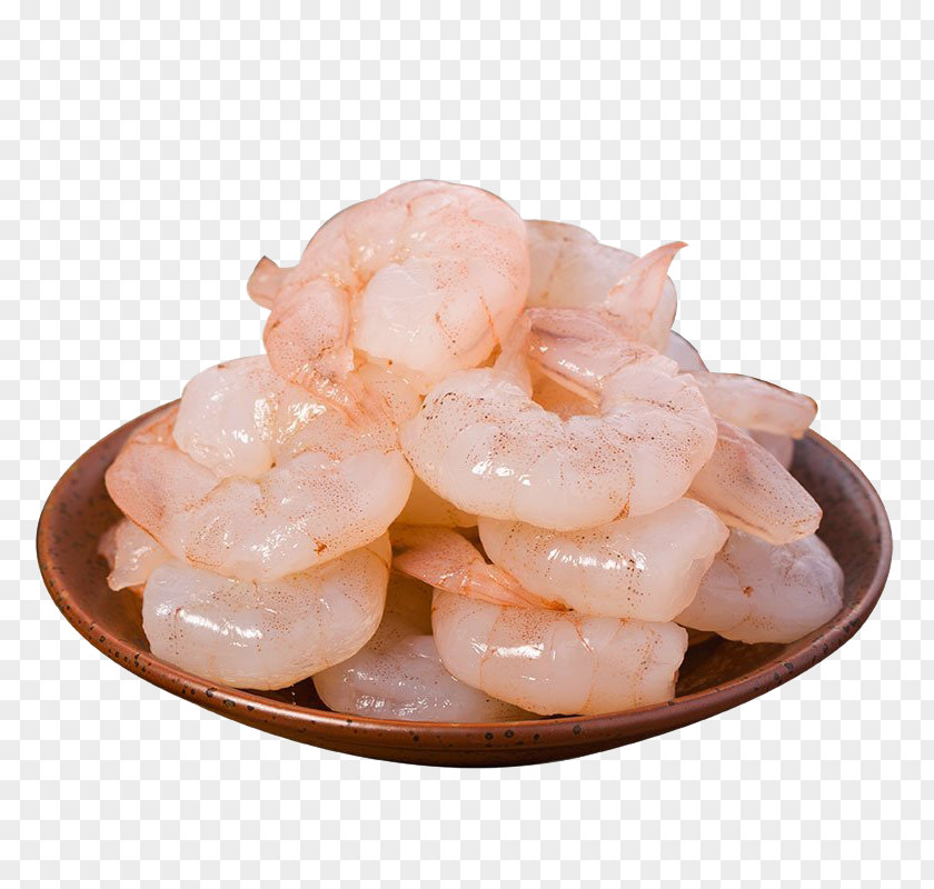 Shrimp Caridea Prawn 虾仁 PNG