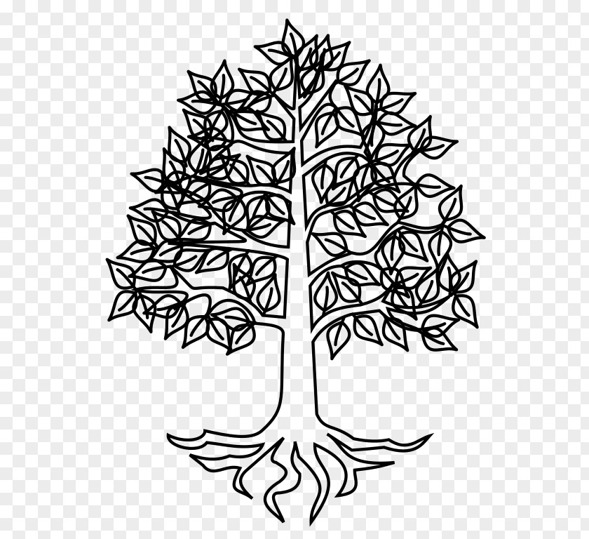 Tree Coat Of Arms Blazon Heraldry Twig PNG