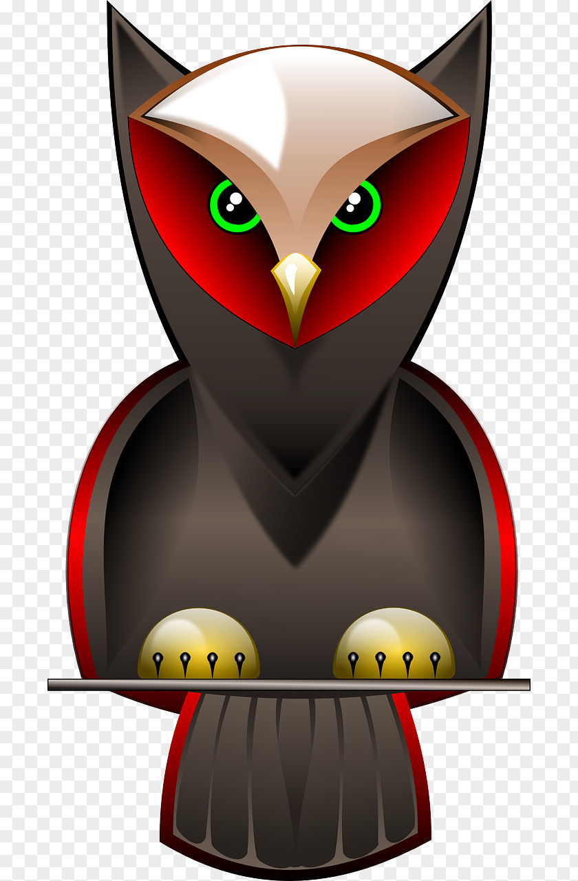 Beautiful Owl Bird Clip Art PNG