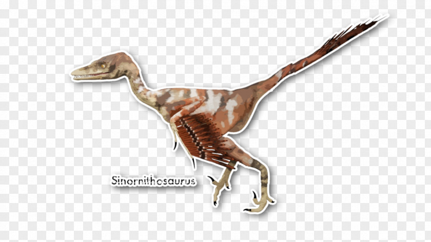 Dinosaur Velociraptor Sinornithosaurus Deinonychus Dromaeosaurids PNG