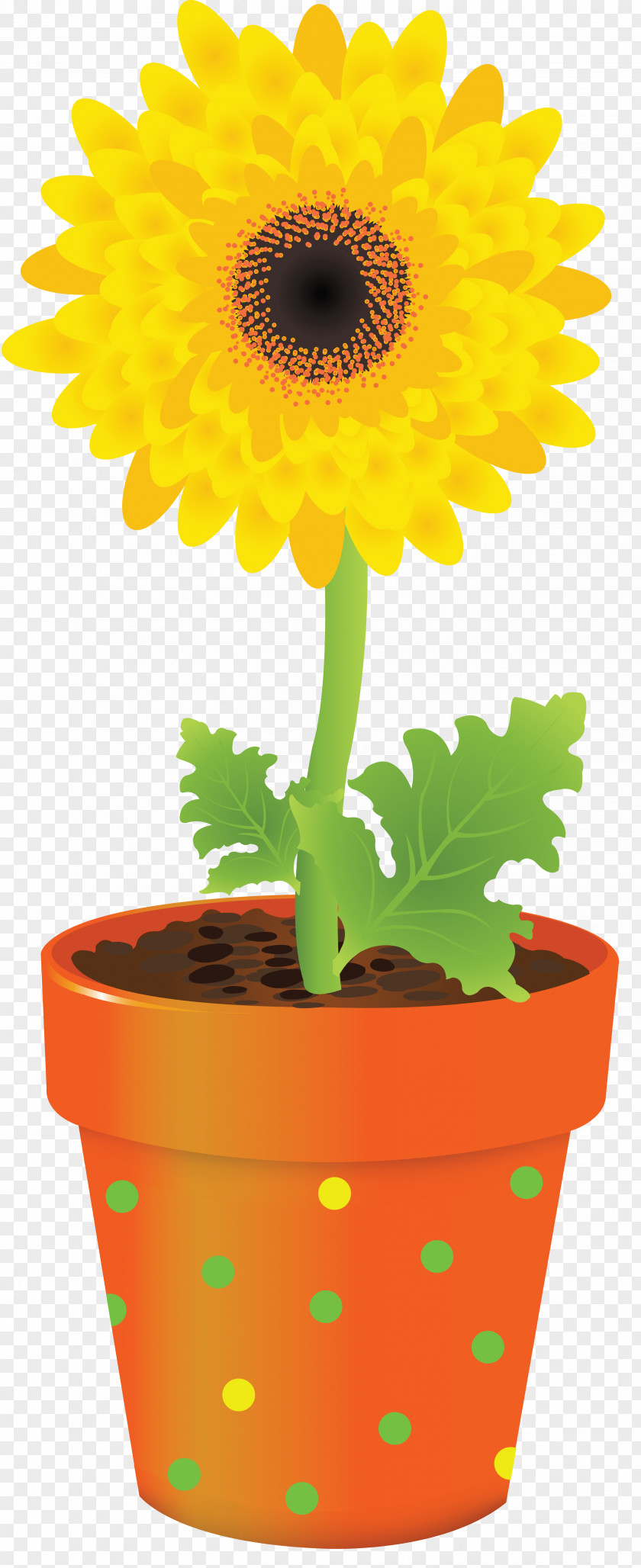 Gerbera Flowerpot Vase Clip Art PNG