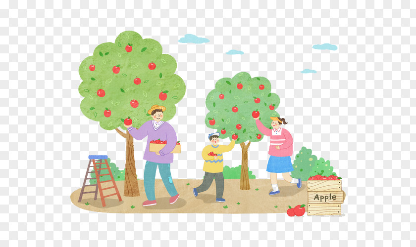 Happy Family Picks Apples In Orchards Geochang Orchard Apple Clip Art PNG