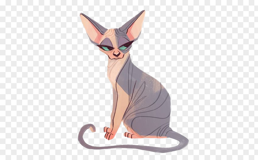 Kitten Sphynx Cat Chantilly-Tiffany Drawing PNG