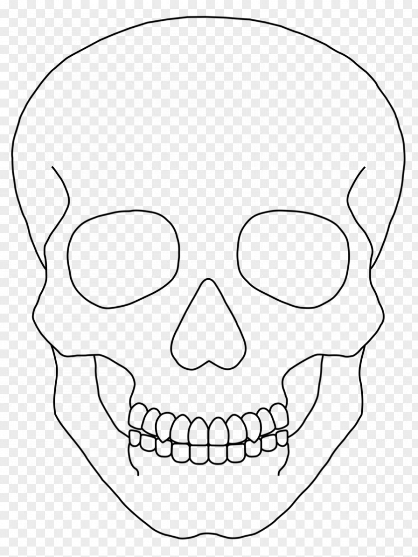 Skull Pattern Calavera Drawing Clip Art PNG