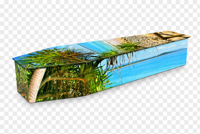 Coffin Expression Coffins Crematory Funeral Home PNG