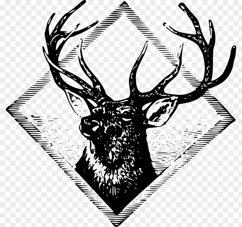 Deer Art Clip PNG