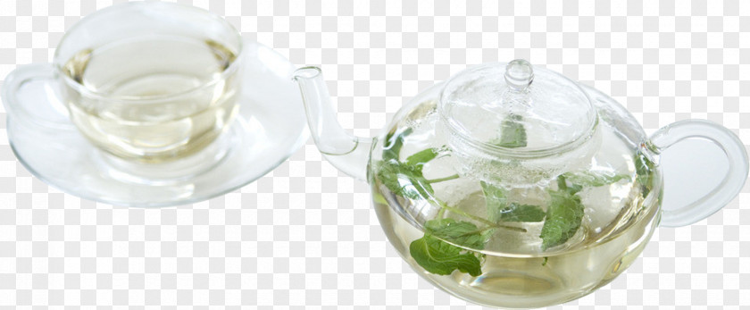 Fresh Green Tea Glass Drink Herb PNG