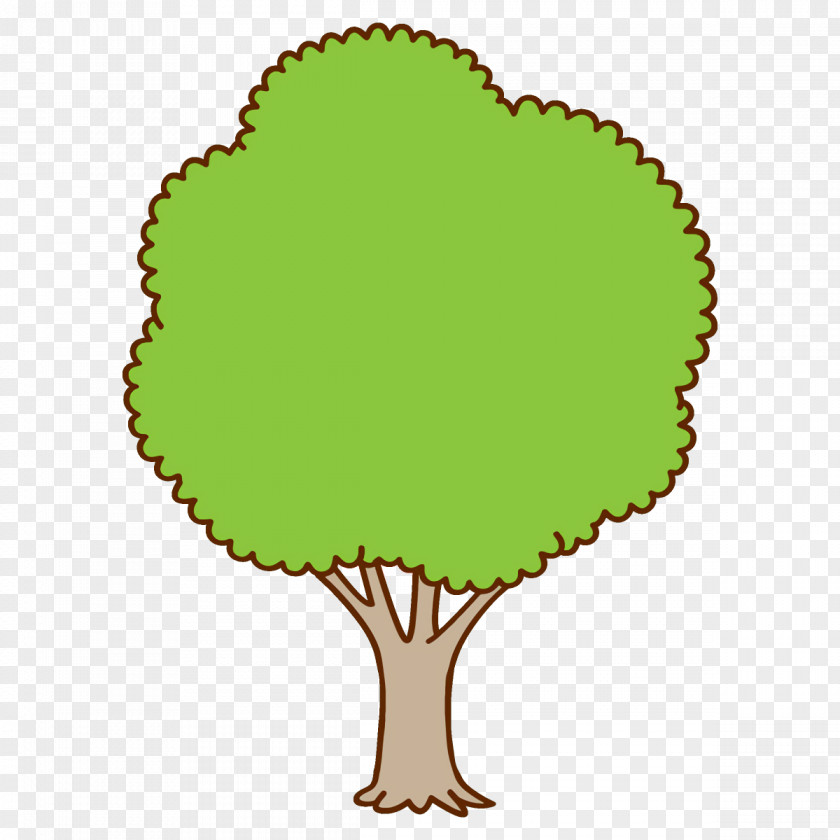 Symbol Plant Green Tree Leaf PNG